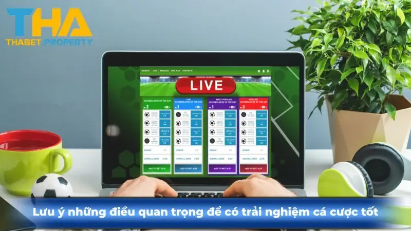 Lưu ý những điều quan trọng để có trải nghiệm cá cược tốt